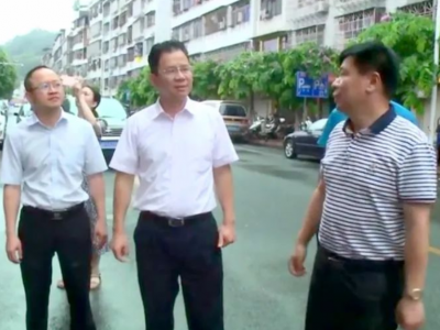 市“两美”督导组一行莅埔开展“两美”三年行动2021年工作任务落实督导工作