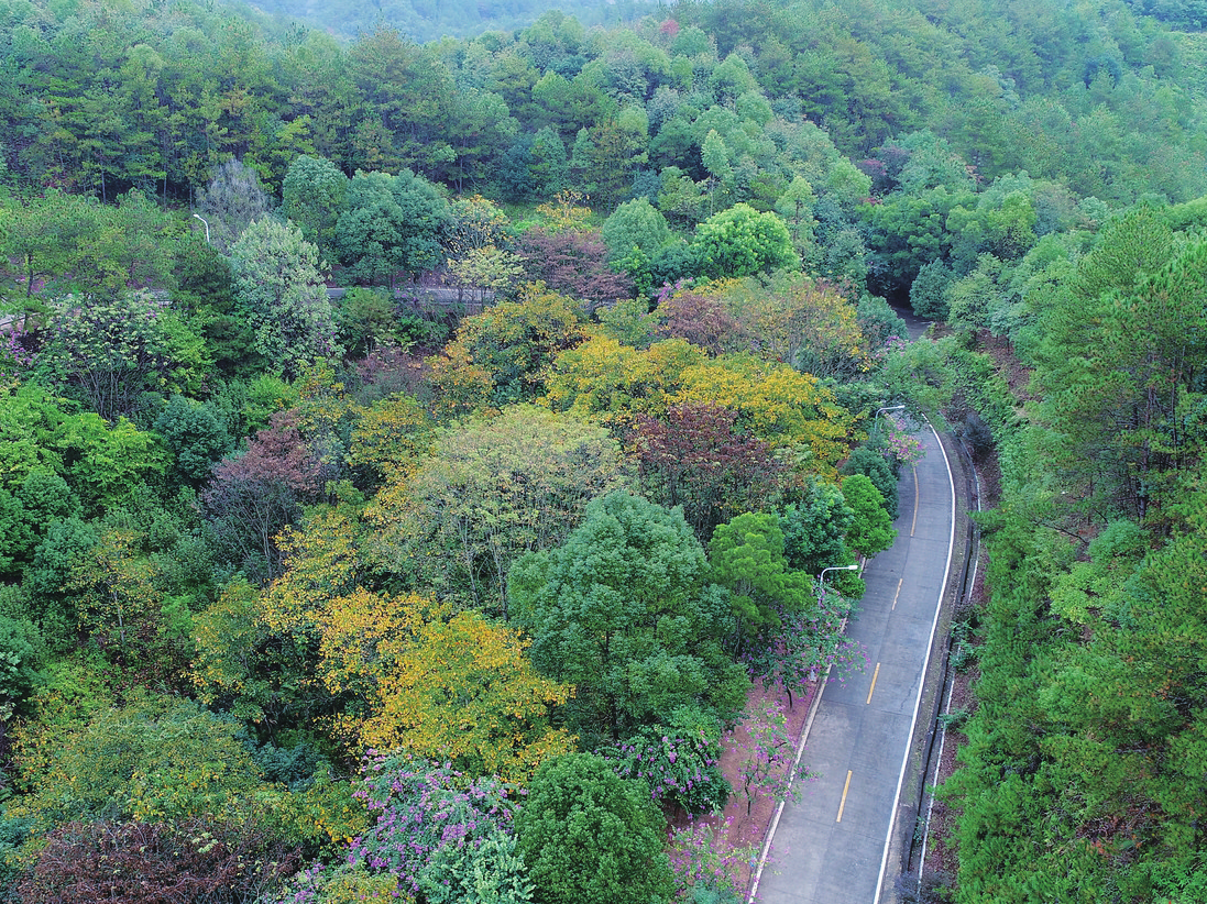 森林防火常识，这些要谨记！