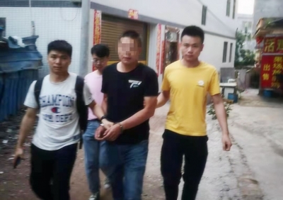 一夜盗窃3户共41只鸡，低价出卖...三只“黄鼠狼”集体落网