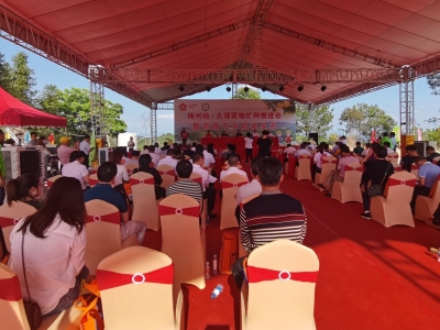 我为群众办实事丨大埔县奏响“三部曲”情暖百姓心