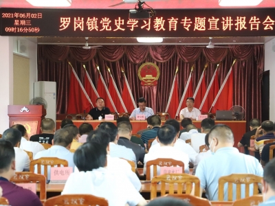  学习动态丨兴宁市罗岗镇举办党史学习教育专题宣讲报告会
