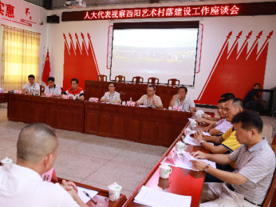 梅江区人大开展西阳艺术村落视察工作