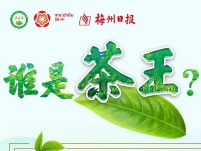 谁是“梅州茶王”？2021年“梅州茶王”评鉴暨嘉应茶品牌推介活动启动