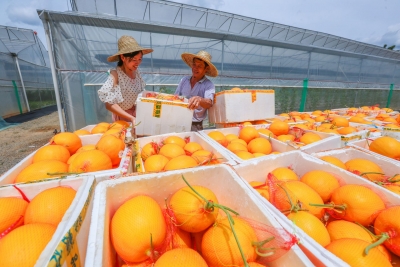 握稳“接力棒”！梅江区乡村振兴驻镇帮镇扶村工作队陆续进镇到岗