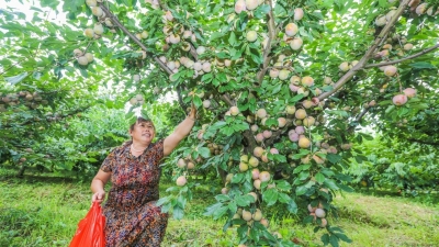 蕉岭广福镇豪岭村，这厢有“李”了！