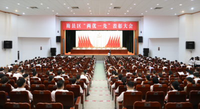 为他们点赞！梅县区“两优一先”表彰名单出炉