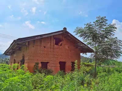 红色家风丨松源横江村的那堵“革命墙”