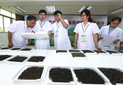 “梅州茶王”即将诞生！2021年“梅州茶王”评鉴活动进行专家评审