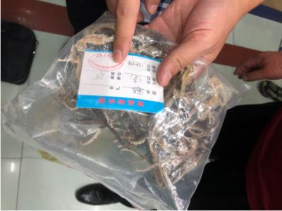 偷偷销售海马干，梅城这家药房被查！