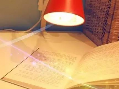 灯下手记丨花儿在阳光雨露下绽放