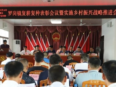 兴宁罗岗镇召开复耕复种表彰大会：挖掘土地利用潜力，走稳产业振兴道路