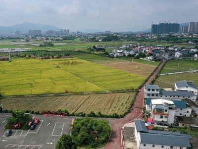 梅州农房摸排系统已固化数据，再发现乱占耕地建房，将严处！
