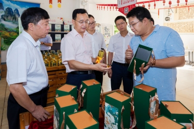 张爱军到平远兴宁调研：推动油茶和茶叶产业高质量发展