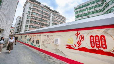 “五度五化”开启文明之花！建设试点县，丰顺有“硬招”