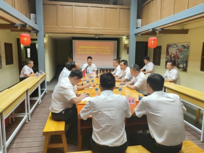 梅江区西阳镇开展庆祝中国共产党成立100周年系列活动