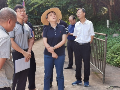 张晨到平远县检查挂点地质灾害隐患点整治工作：时刻紧绷安全生产这根弦