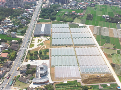 “红色+绿色”，蕉岭县绘就乡村新画卷！