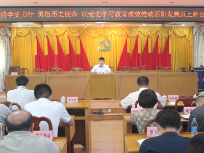 学习动态丨梅江区西阳镇召开党史学习教育专题党课 