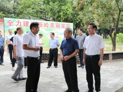 省直机关工委、中国石化广东石油分公司领导率队到丰顺县汤西镇开展驻镇帮镇扶村对接工作