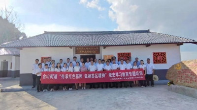 梅江区金山街道开展党史学习教育专题培训：传承红色基因 弘扬苏区精神