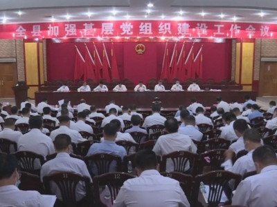 五华县召开加强基层党组织建设工作会议