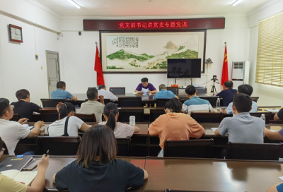 学习动态丨丰顺县委政法委开展党支部书记讲党史专题党课