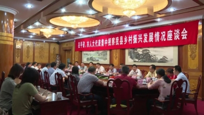 在平省市人大代表视察平远县乡村振兴发展情况