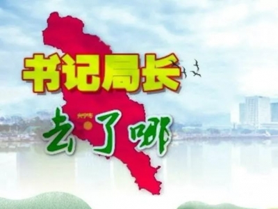 兴宁各镇党委书记、各局局长这周在忙什么？