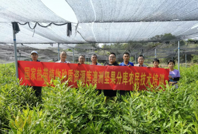 专家学者们送来了专业技术！今日，兴宁澳洲坚果种植基地“收获满满”~
