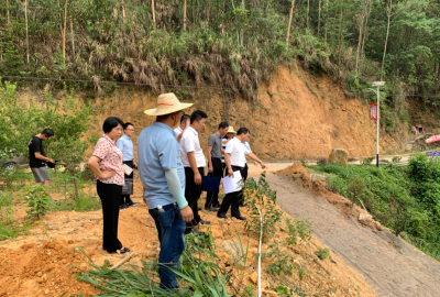 梅江区领导到西阳镇塘青村开展工作调研