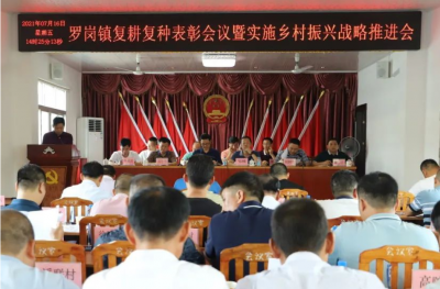 兴宁市罗岗镇召开复耕复种表彰暨实施乡村振兴战略推进会