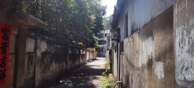 梅城一小巷道常年无路灯，出门要带上手电筒！居民：期待路上有光