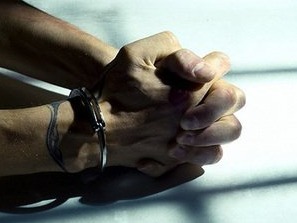 1只蛤蟆、7只青蛙，把自己“捕”进牢房，不值当！