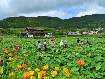 从“经营城市”到“经营乡村”——因地制宜描绘“富春山居图”