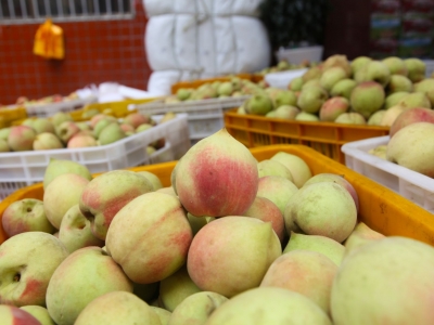 刚到岗就解决了“大难题”！驻镇帮镇扶村工作队为蕉岭广福送来“及时雨”！