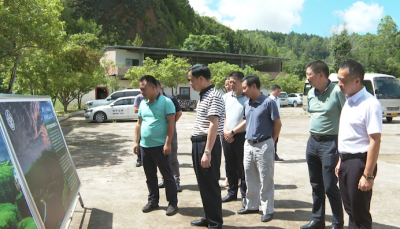 洪国华到合水调研茶叶种植和垦造水田工作