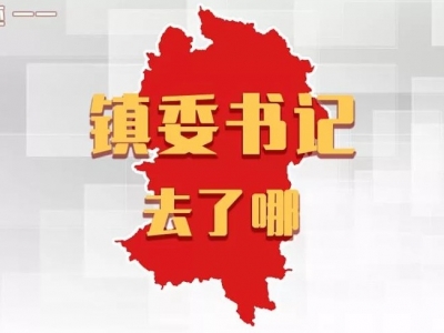 新时代新足迹——镇委书记去了哪 | 平远各镇党委书记，上周在忙什么？