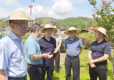 省财政厅一行来蕉岭调研南磜镇松源河流域水环境综合整治工程