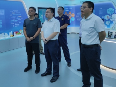 陈金銮率队开展安全生产大检查行动：抓细抓实安全生产各项工作