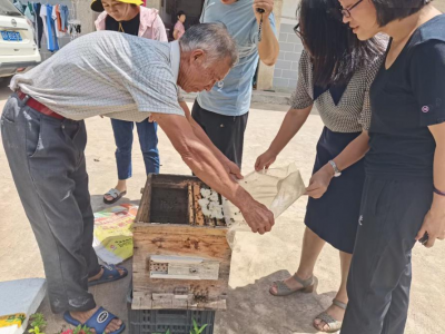 专家为“甜蜜事业”把脉！五华华新村开展中蜂饲养技术培训活动