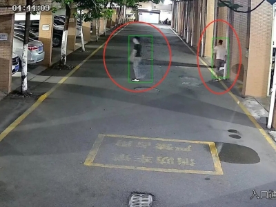 停车记得锁车门！梅县区警方破获2起“拉车门”盗窃案