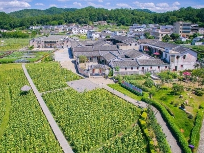 乡村振兴驻镇帮扶工作队全面进驻梅州，覆盖110个涉农镇（街道）！