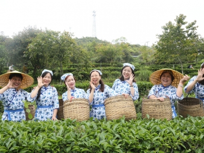 资本“进山”撬动农业新发展！梅州农林牧渔市场主体数量不断增多  