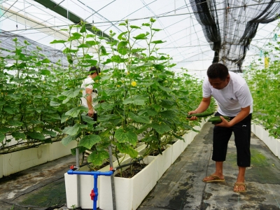 未来可期！聚焦“科技创新”，看梅江区高质量发展新动能