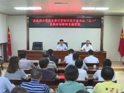 廖茂忠以普通党员身份参加丰顺县府办党总支专题党课