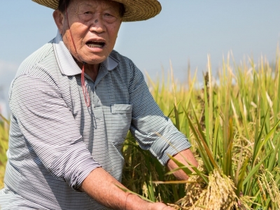 聚焦全会丨“四好农村路”、农村集中供水全覆盖、“万企兴万村”...持续用力推动梅州乡村全面振兴