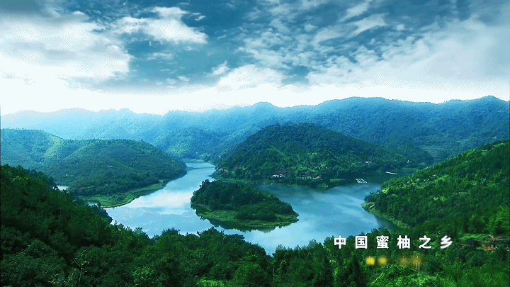 大埔：全力发展蜜柚产业 累累硕果铺出致富之路