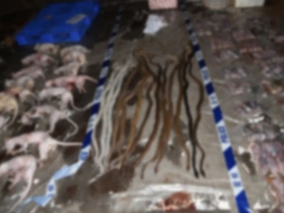 2666只！案值170余万元！梅州警方斩断跨省市“涉野”犯罪链条