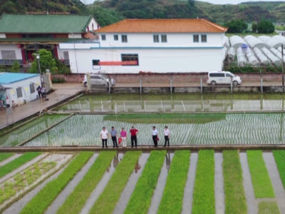 五华丝苗米省级现代农业产业园六大参建公司均已动工建设