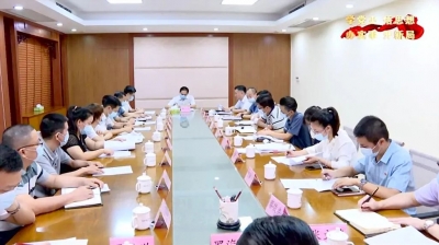 市委党史学习教育第四巡回指导组到大埔指导党史学习教育专题组织生活会